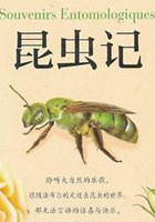 昆虫记 法布尔小说（上）
